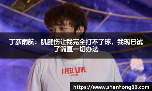 丁彦雨航：肌腱伤让我完全打不了球，我现已试了简直一切办法